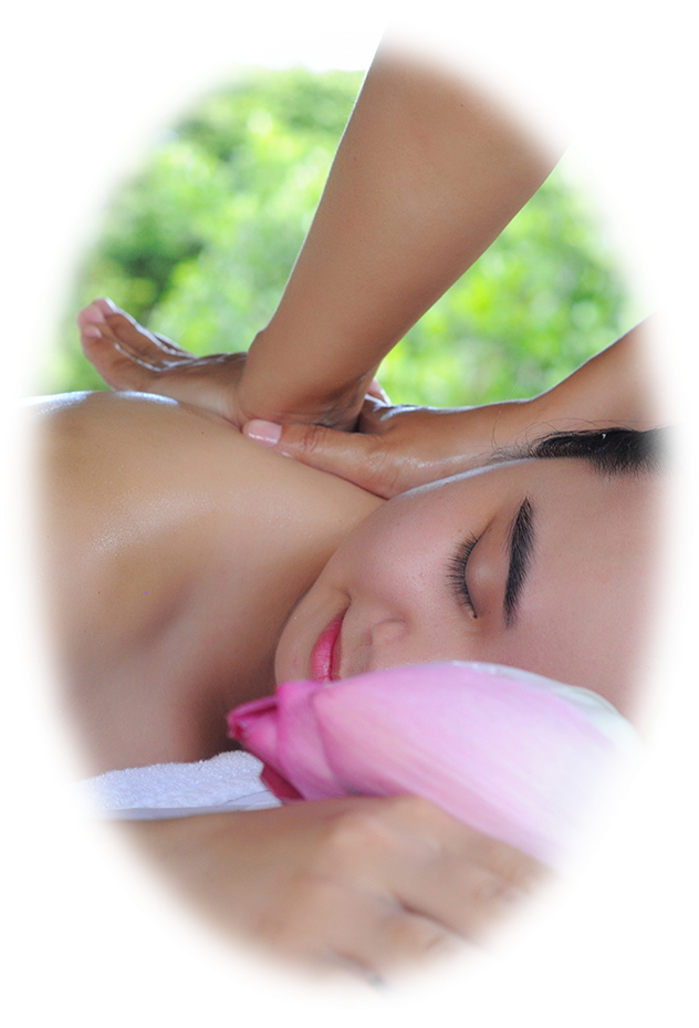 An image labelled Spa and wellness centre/facilities