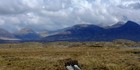 Hình ảnh có nhãn Connemara Activities