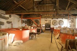Etruria Museum