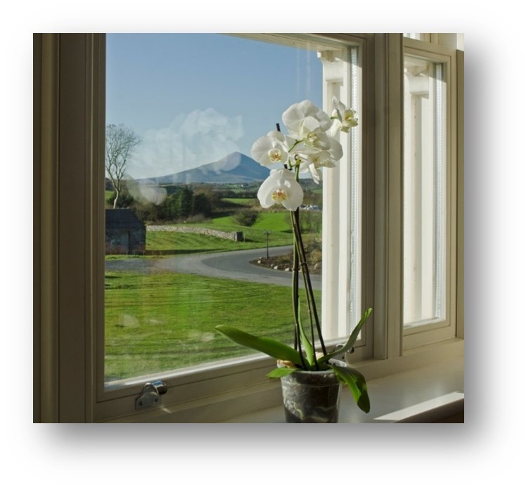 An image labelled View (from property/room)