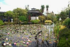 An image labelled Activities