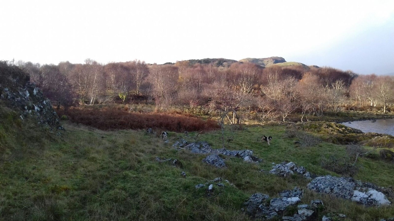 An image labelled Natural landscape