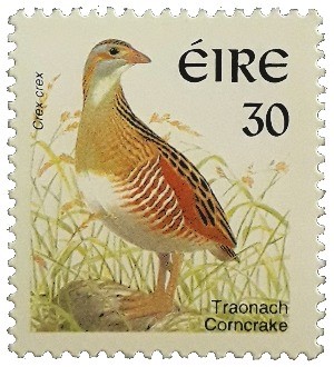 An image labelled