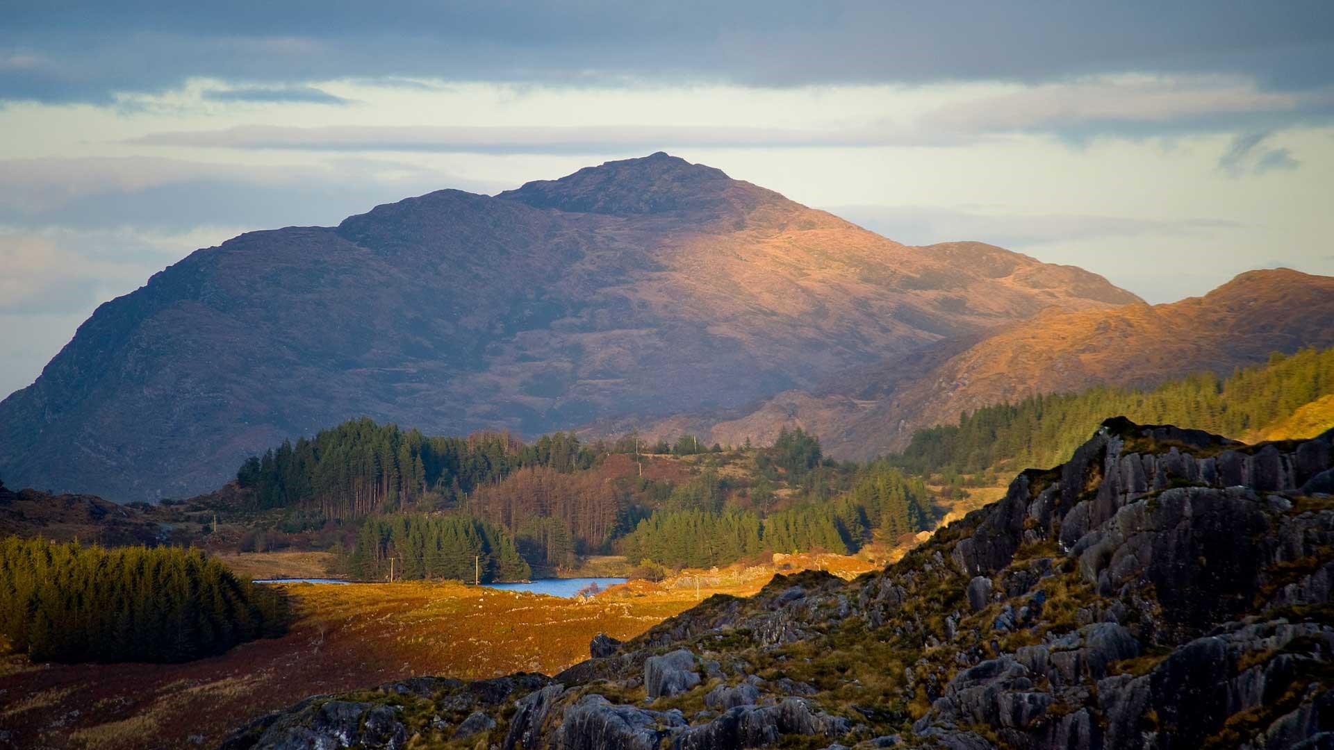 An image labelled Natural landscape