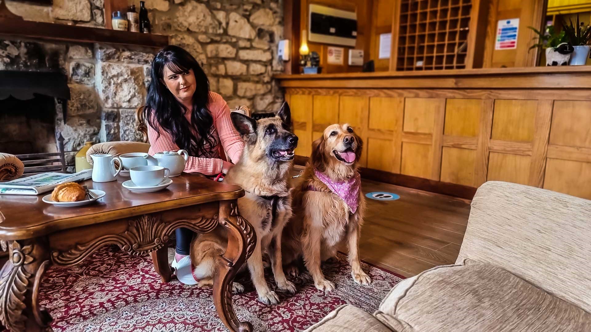 An image labelled Pets
