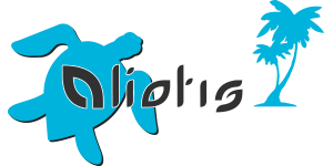 An image labelled Activities