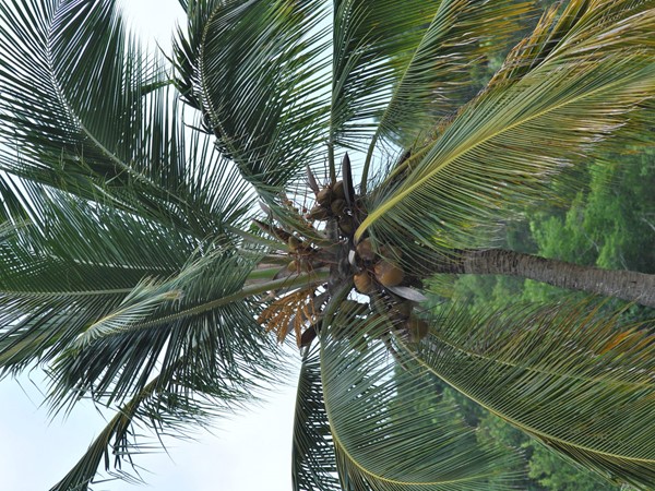 Hình ảnh có nhãn Neighbourhood