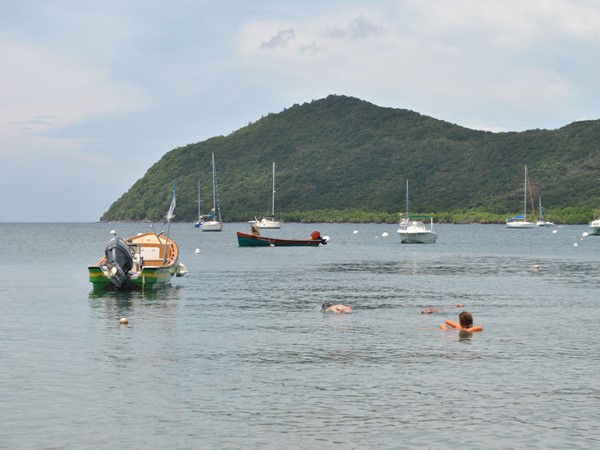 Hình ảnh có nhãn Neighbourhood