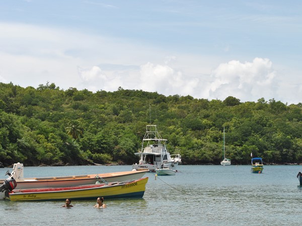 Hình ảnh có nhãn Neighbourhood