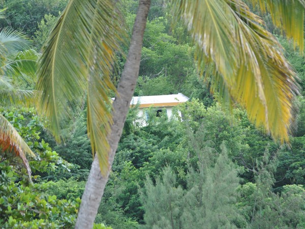 Hình ảnh có nhãn Neighbourhood