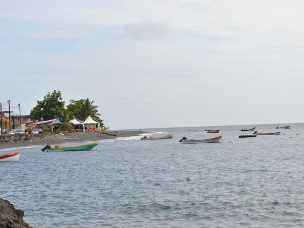 Hình ảnh có nhãn Neighbourhood