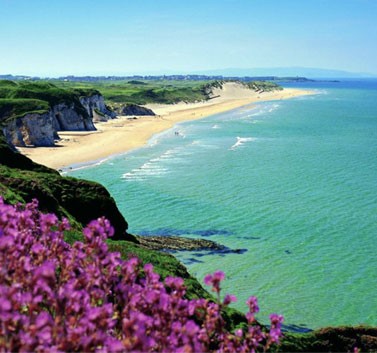 An image labelled Natural landscape