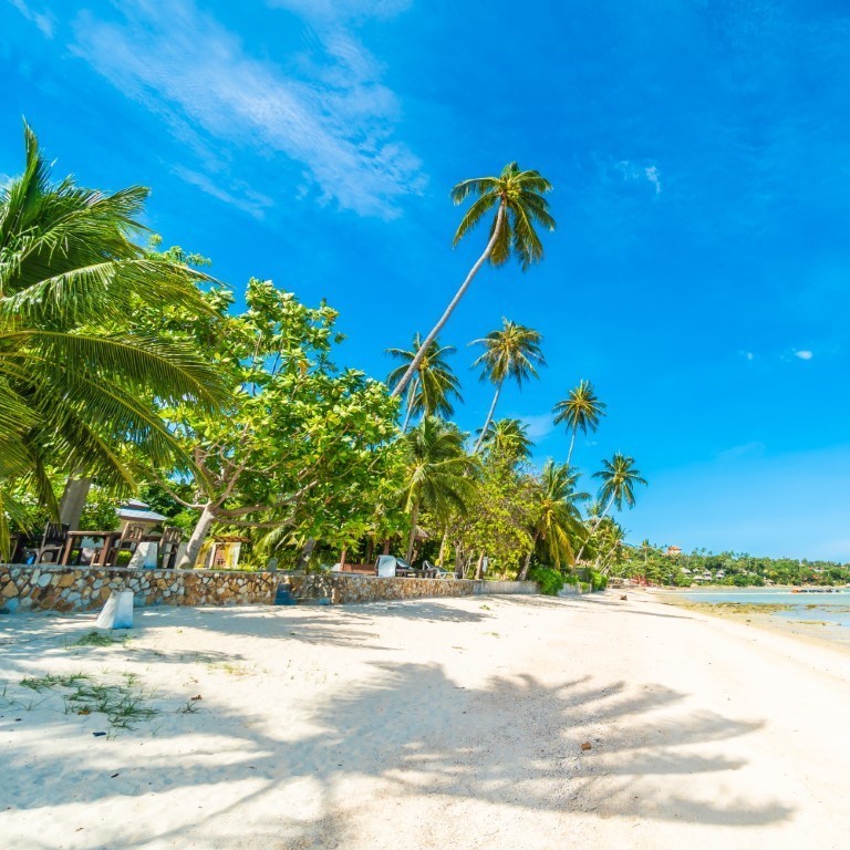 An image labelled Plage