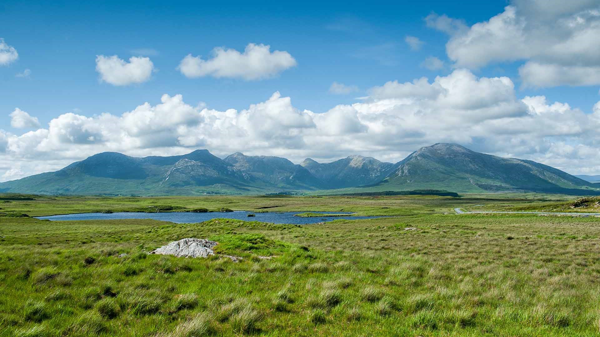 An image labelled Natural landscape