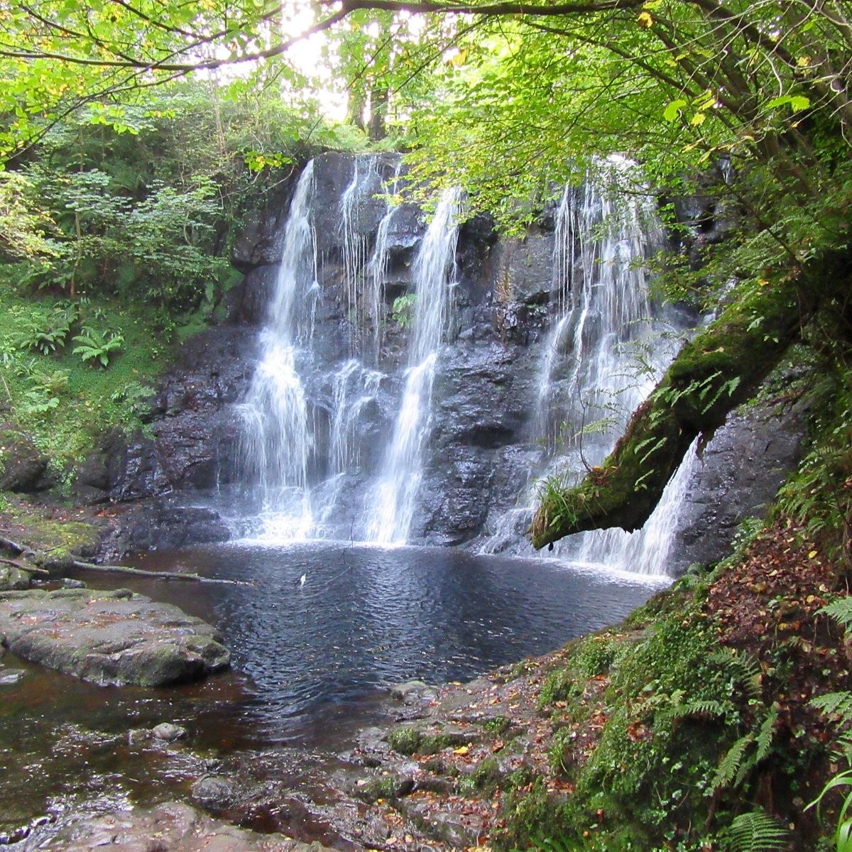 An image labelled Natural landscape