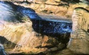 An image labelled
