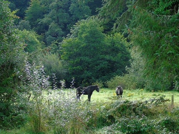 An image labelled Natural landscape