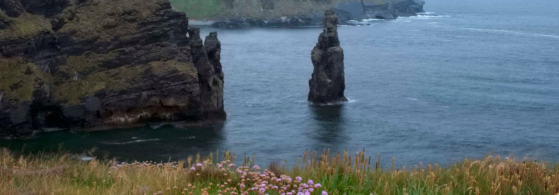 Location Cashen Course House