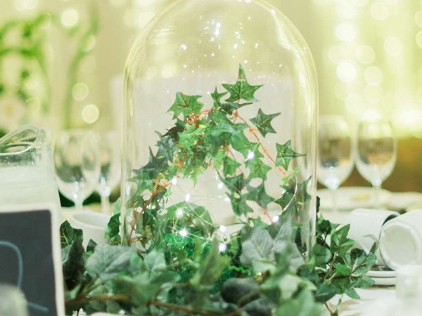 An image labelled Banquet/Function facilities