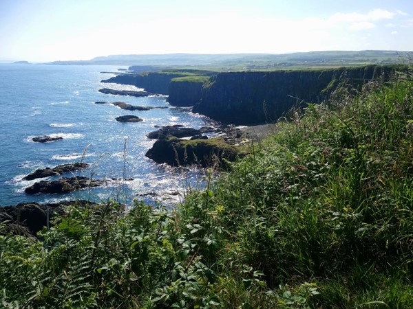 An image labelled Natural landscape