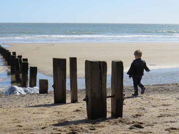 An image labelled Beach