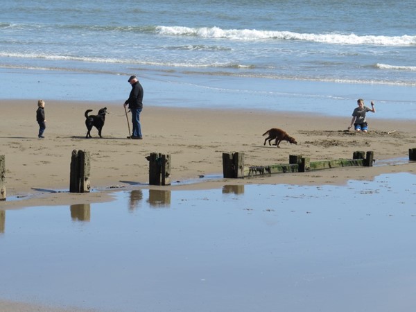 An image labelled Beach