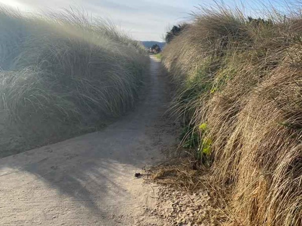 An image labelled Beach