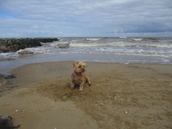 An image labelled Beach