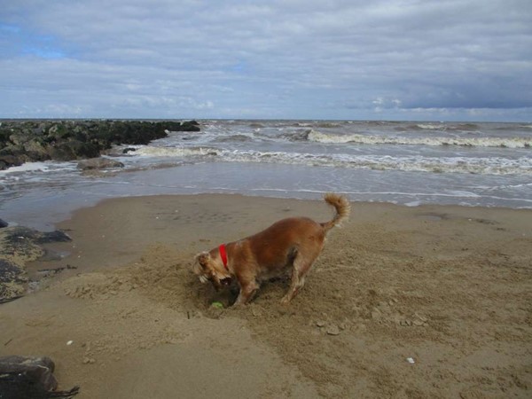 An image labelled Beach