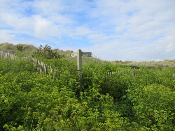 An image labelled Plage