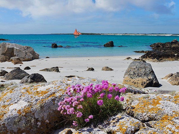 An image labelled Beach