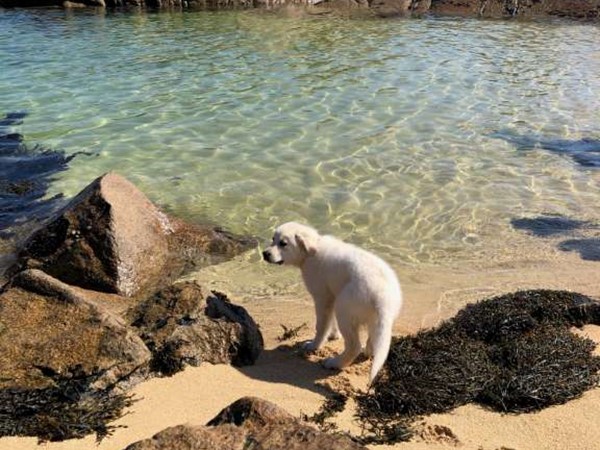 An image labelled Beach