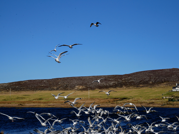 An image labelled Natural landscape