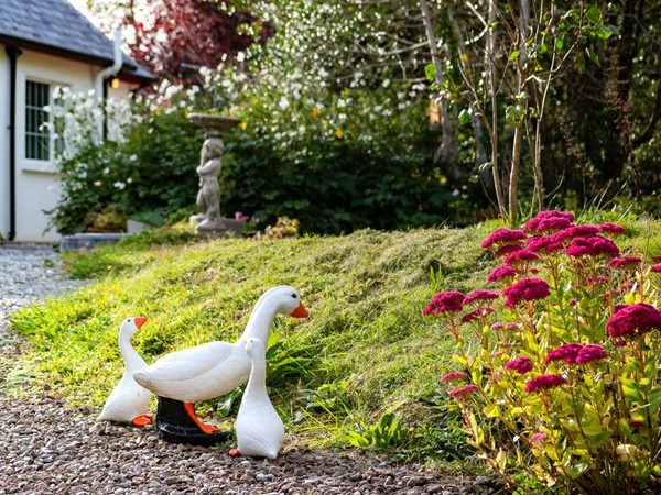 An image labelled Garden