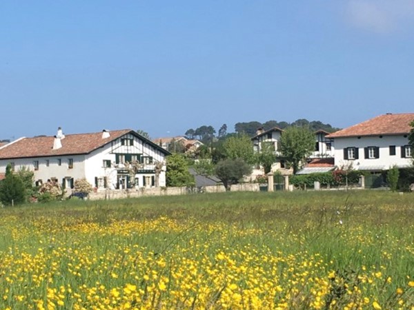 An image labelled Garden