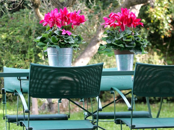 An image labelled Garden