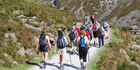 An image labelled School Tours, Groups and Society Accommodation 