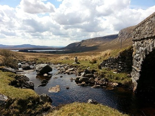 An image labelled Natural landscape