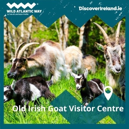 An image labelled Activities