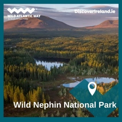 An image labelled Activities