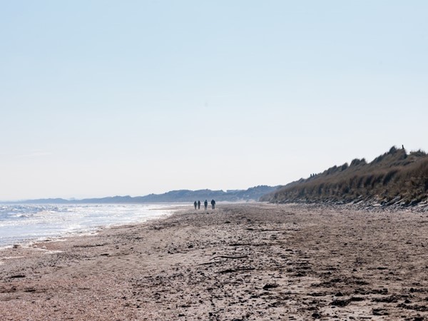 An image labelled Beach