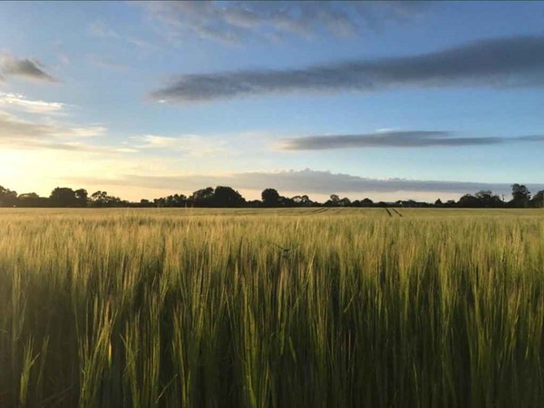 An image labelled Natural landscape