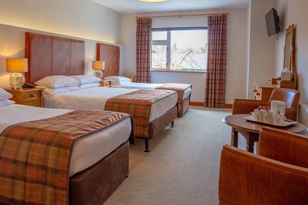 An image labelled Deluxe Double and 2 Singles Room