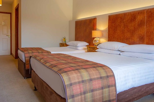 An image labelled King and Single Room