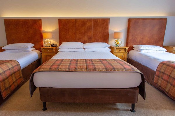 An image labelled King and 2 Singles Room