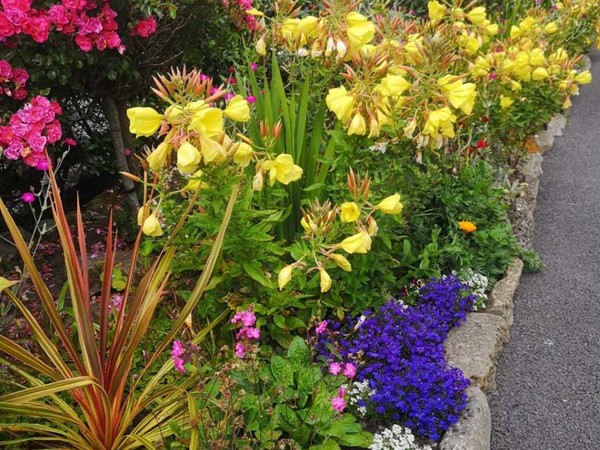 An image labelled Garden