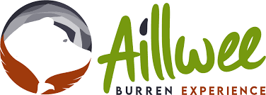 An image labelled Activities