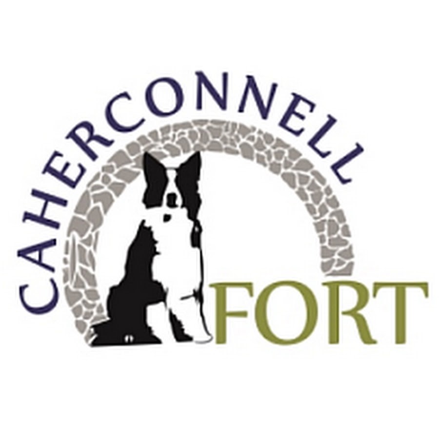 An image labelled Activities