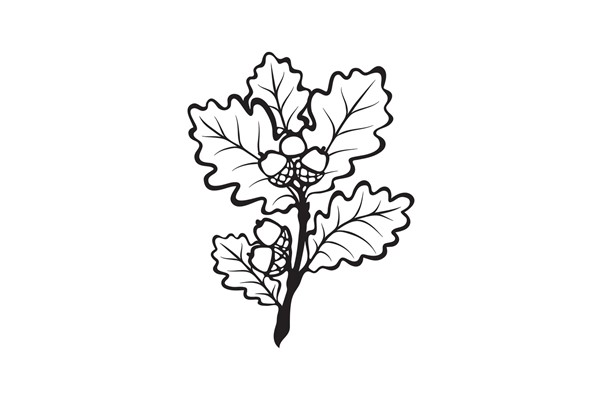 An image labelled Sleepy Oak Pitch