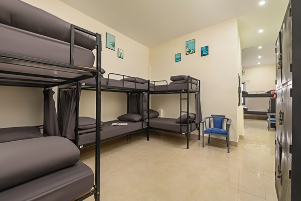 An image labelled 14 Bed Mixed  Dorm